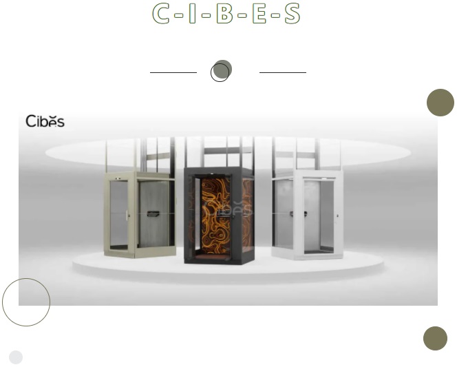 Cibes新盛娱乐家用电梯V90新系列