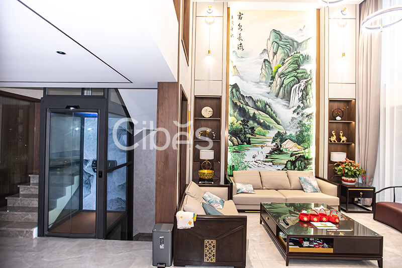 南京Cibes新盛娱乐别墅电梯案例