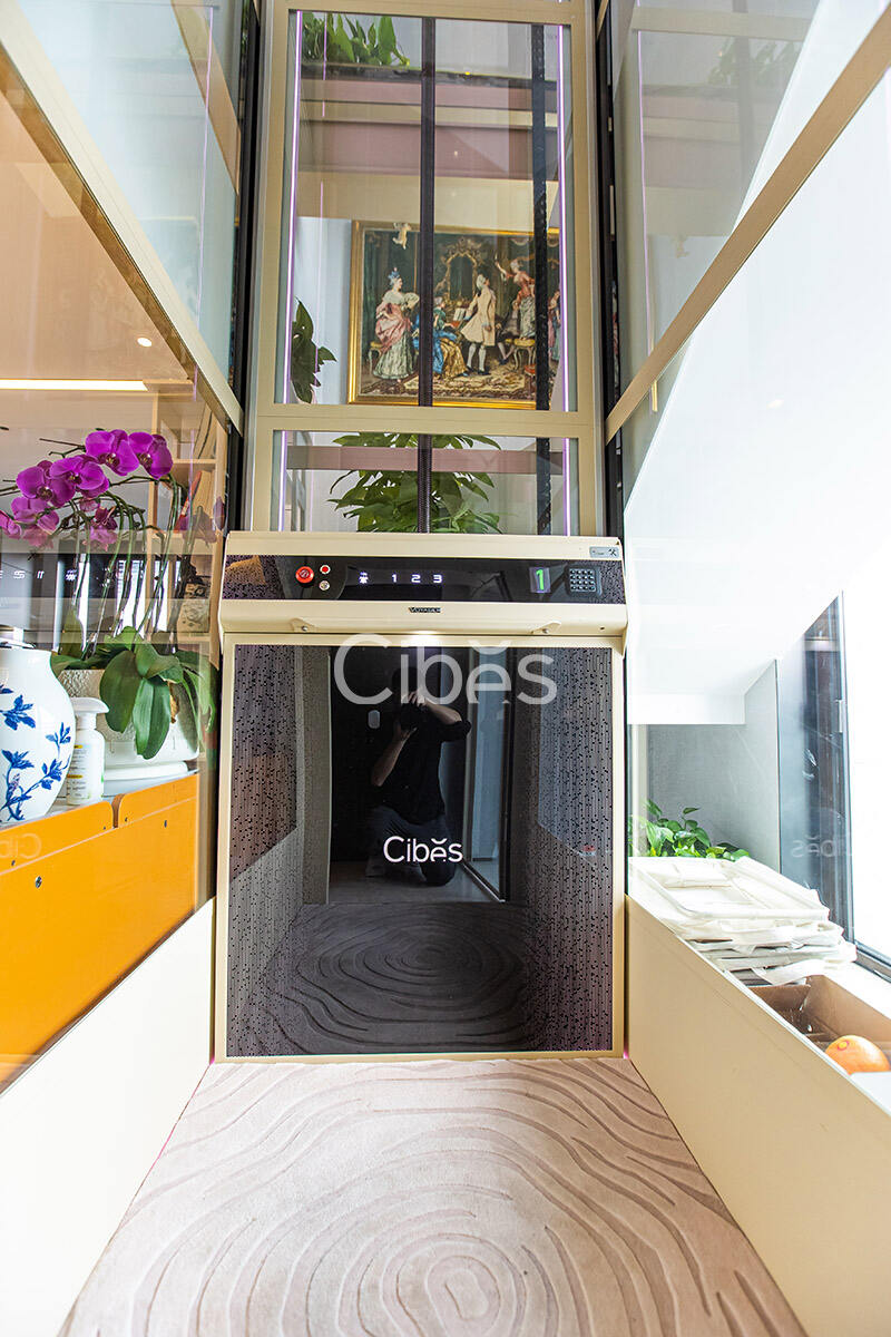 Cibes新盛娱乐南京别墅电梯案例